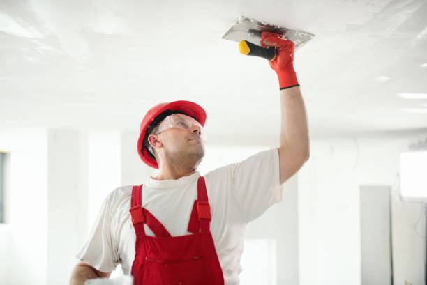 Best Mold Remediation for Vacation Homes  in USA